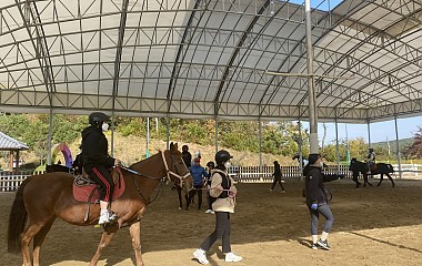 2020년 학교 밖 청소년 승마체험